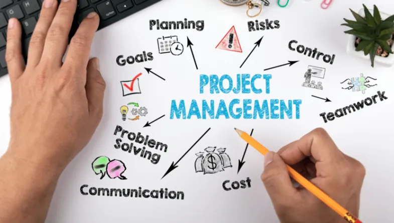 Our Services Project Management Consultancy Services project management